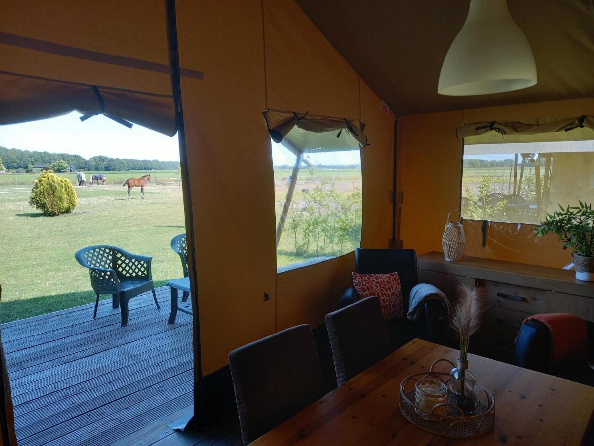 Comfort Safaritent 6 Pers En Mini Camping Zwiggelte Exterior photo